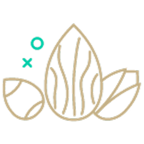 مای آجیل